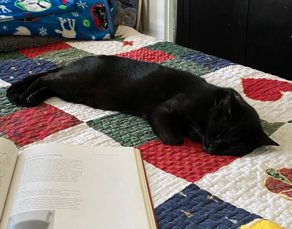 A black cat stretched out on quilted squares of red, green, blue, and white. In the near, an open book on Kirtles.