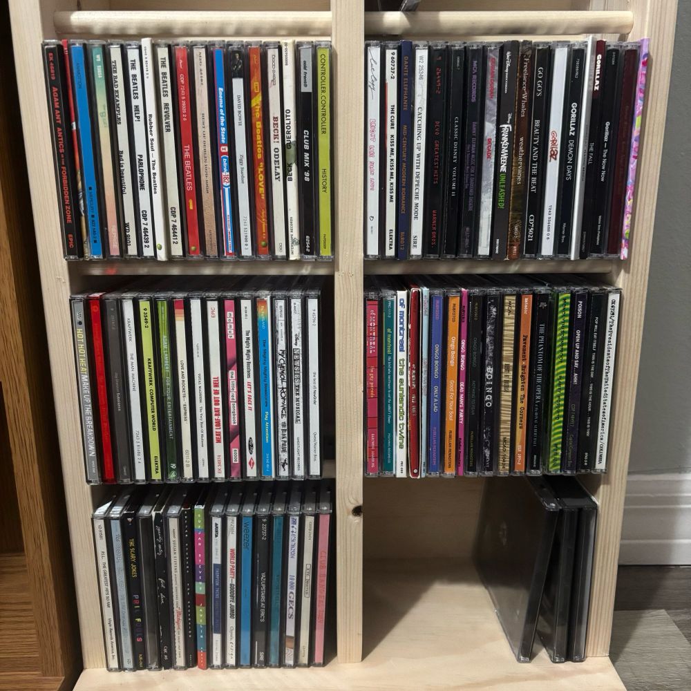 My whole collection. My dad built the shelf for me. Its organized alphabetically and then chronologically if I have more albums from one artist/band. 