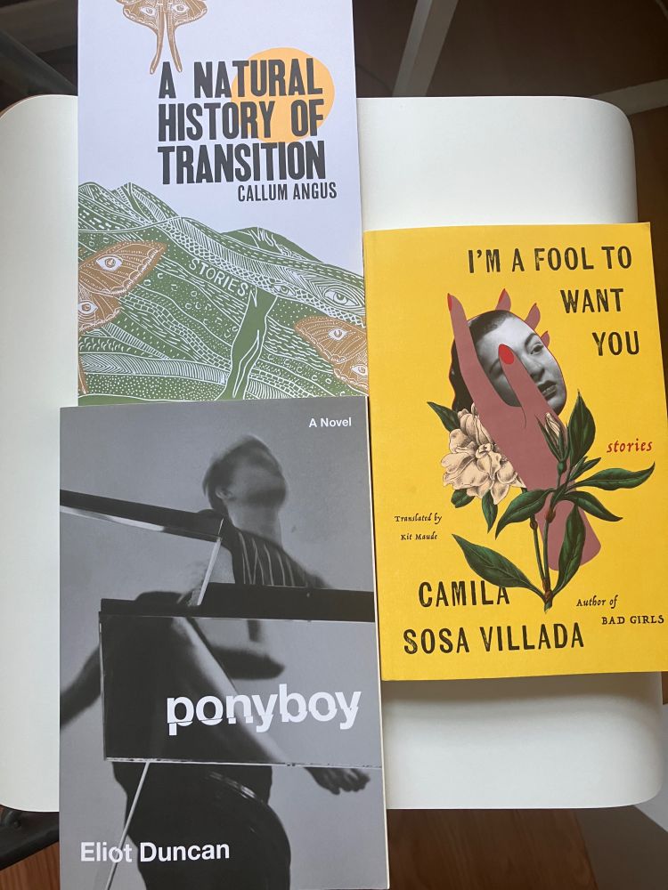Covers of the books ponyboy by Eliot Duncan, Im a fool to want you by Camila Sosa Villada and A natural history of transition by Callum Angus