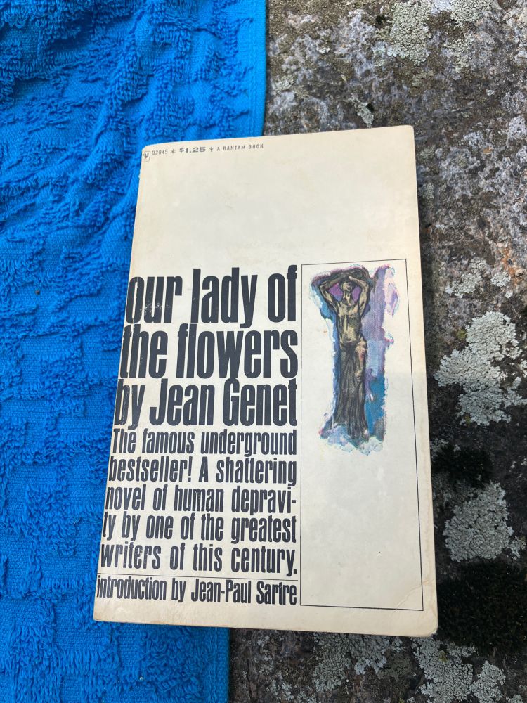 Front cover of Jean Genets Our Lady of the Flowers against a backdrop of blue towel and rock