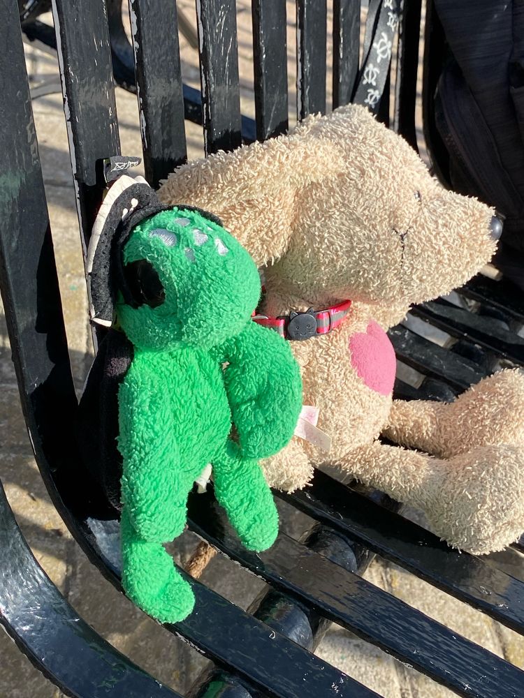 BigTurtler und Hannes auf einer Bank in der Sonne