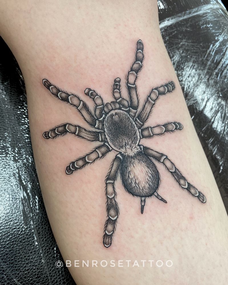 dotwork tattoo of a tarantula