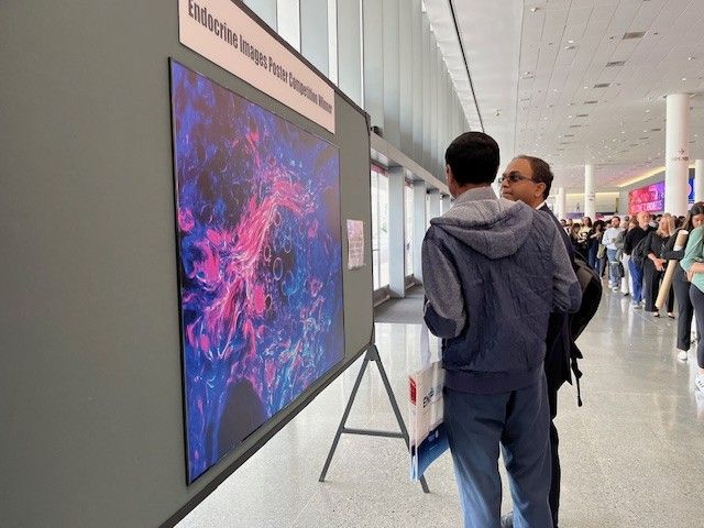 Two people looking at scientific artwork.