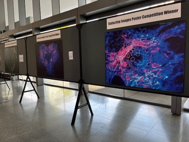 Scientific artwork display.