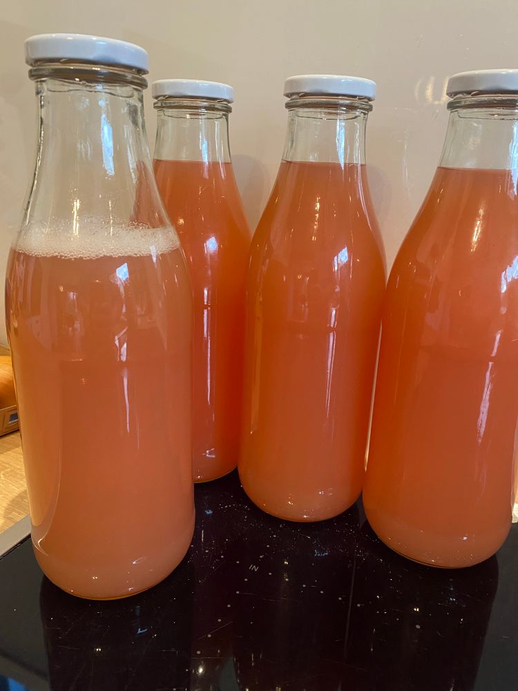 Fast vier Liter selbstgemachte Apfel-Qittensaft in Flaschen. 