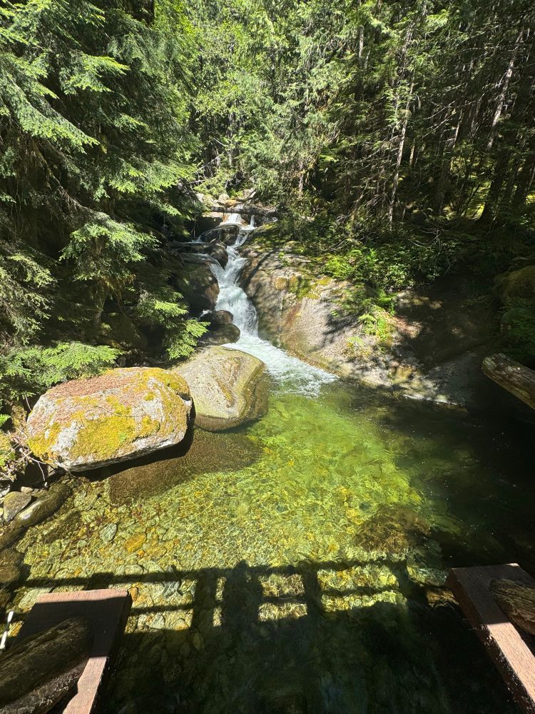 Martin Creek passes over a bridge on the Taylor River Road about 3 miles from the trailhead