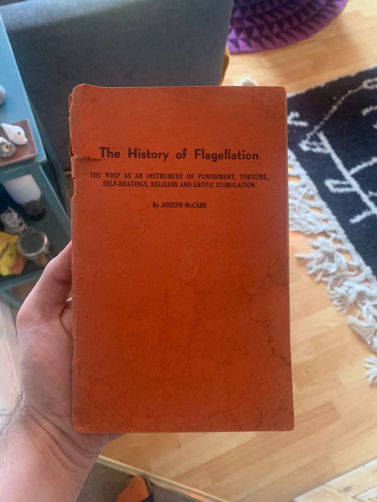 photo of a book with an orange cover and black title text 'The History of Flagellation' and subtitle 'The whip as an instrument of punishment, torture, self-beatings, religion and erotic stimulation'