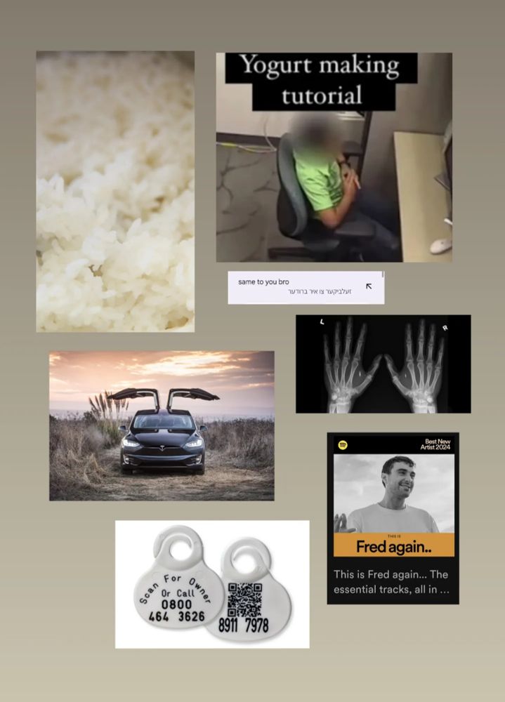 close up of rice, blurred face boy watching yoghurt making tutorial, 'same to you bro' in english and yiddish 'זעלביקער צו איר ברודער' on translate app, x-ray of hands with microchips, photo of a tesla with doors open in some grassland, screenshot of 'this is Fred Again' playlist on spotify, tags for a dog that say 'scan for owner or call' and a number and a qr code