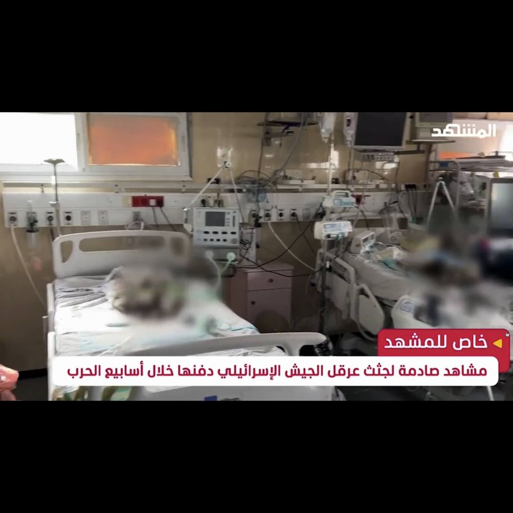 Decomposing Bodies of Premature Babies Discovered in Besieged Gaza Hospital