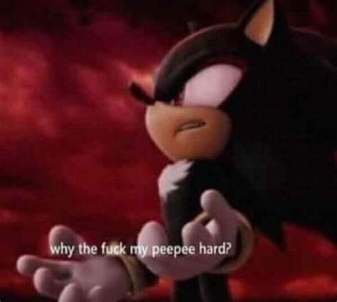 Shadow the Hedgehog saying "why the fuck my peepee hard?"