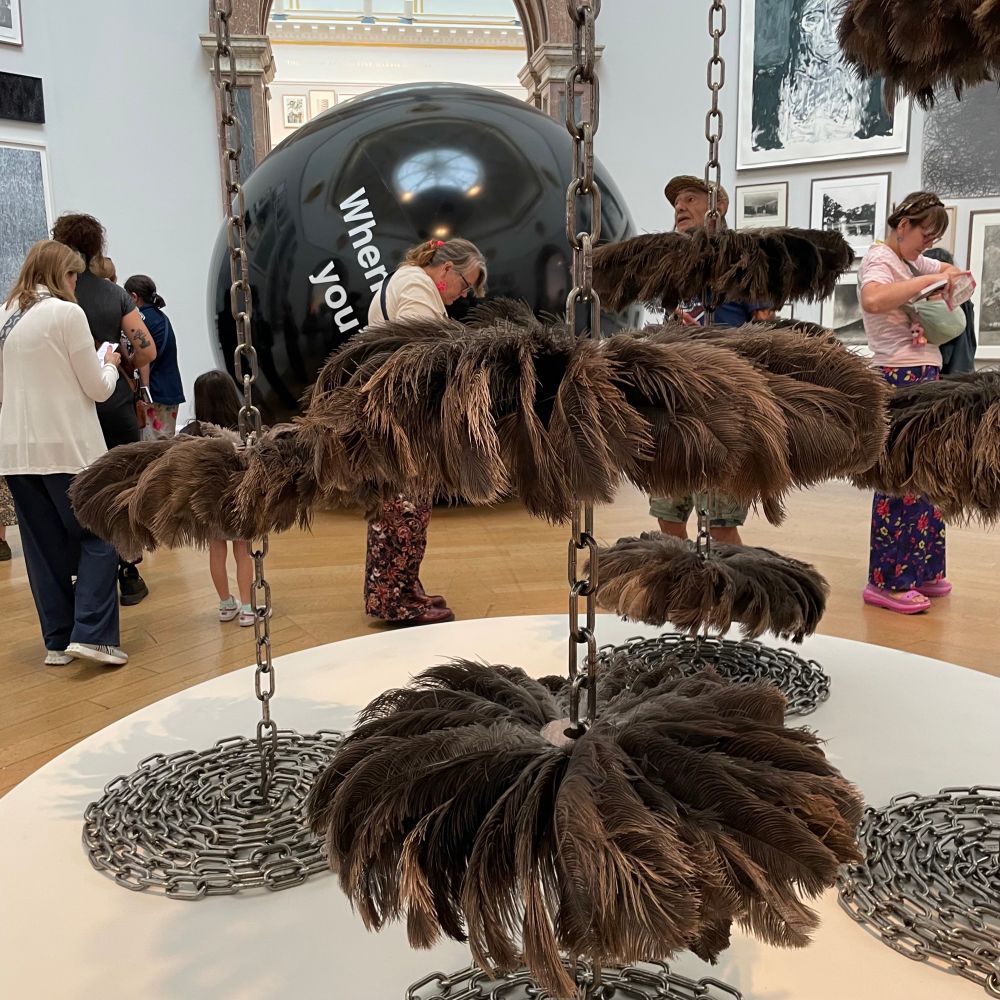 Rounds of feathers hanging from chains. I think they look like fluffy spiders. Art, innit? 