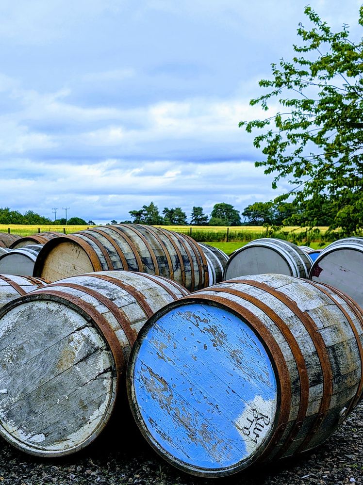 Whisky casks outside BenRiach distillery, Scotland. Fields and a couple of trees in the background.
