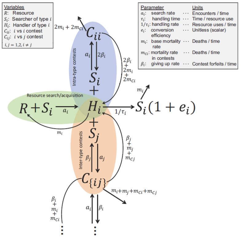 Ball and stick diagram showing mass action kinetics by which Searchers find Resources and coming Handlers, Searchers find Handlers to begin a Contest, Contests end when one side dies or gives up, Handling ends with consumption, or Handlers or Searchers die.