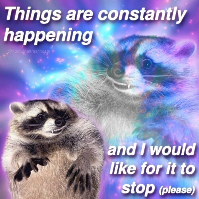 Meme of a scared-looking raccoon, with the text "Things are constantly happening and I would like for it to stop (please)"