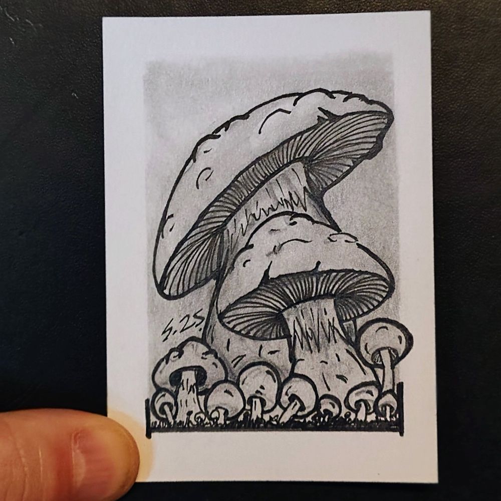 Epic mushrooms. Pen and ink drawing with graphite shading
