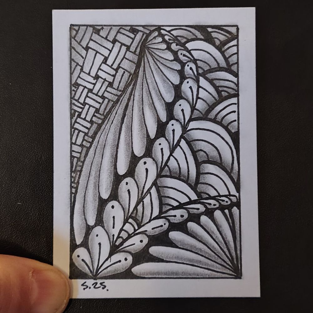 Abstract pattern of leaves feathers basket weave. Pen and ink with graphite shading