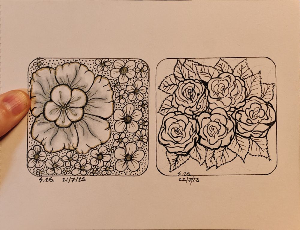 Sketchbook page. two floral botanical drawings.