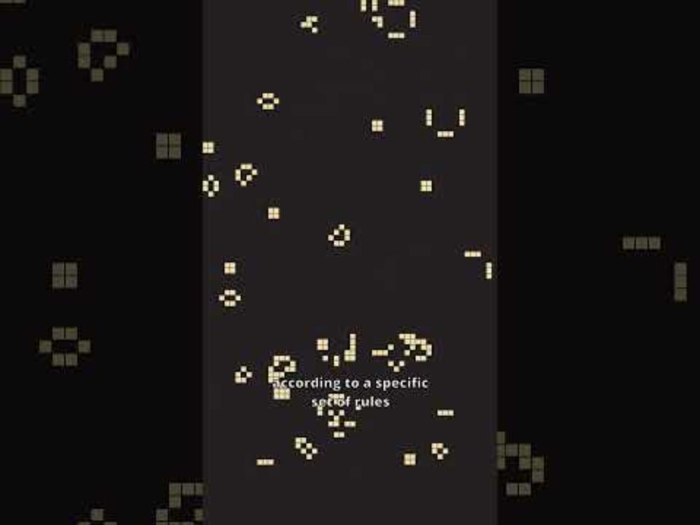 Code can imitate life with 4 simple rules (Game of Life) #simulation #algorithm #programming