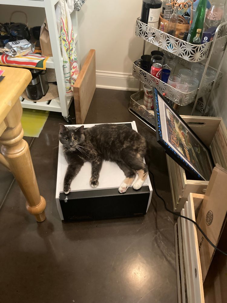 a gray dilute tortie cat lying on top of a plugged-in dehydrator.