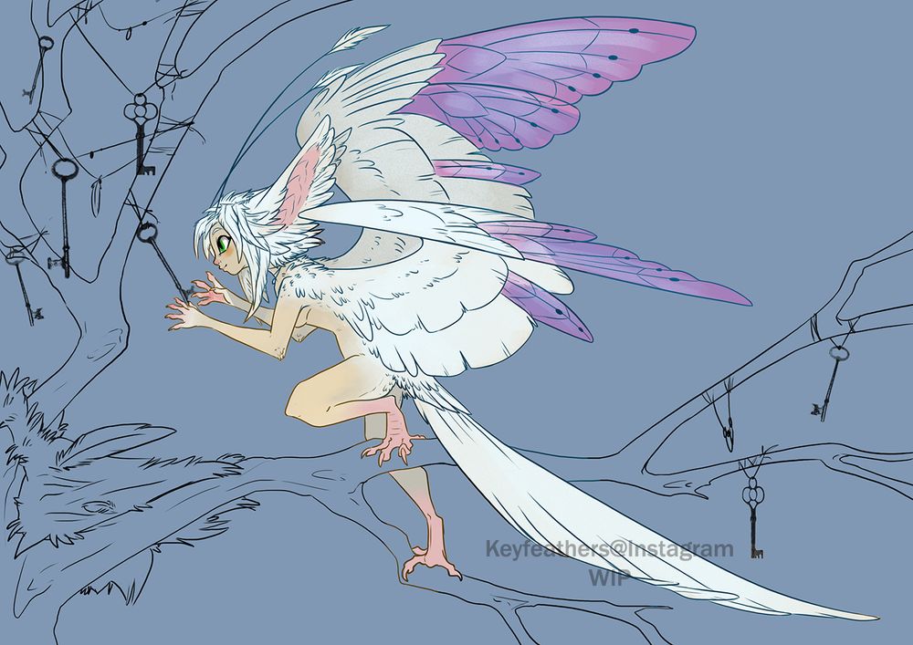keyfeathers drawing
