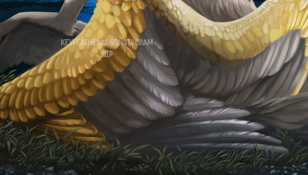 WIP feather details
