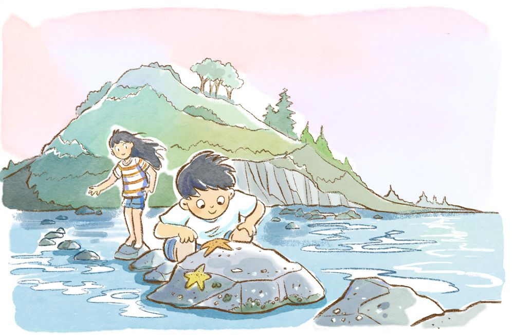 Two children exploring a rocky shoreline