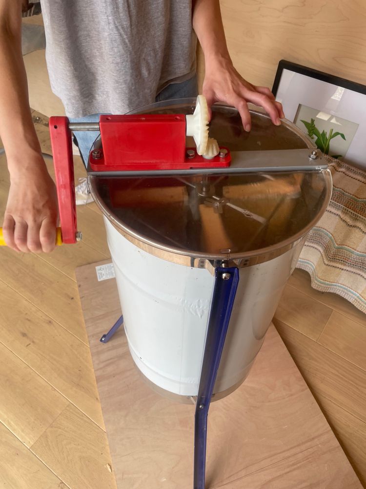 A honey centrifuge: a big white metal cylinder with four honey frames fixed inside.  Someone is spinning it with a hand crank at the side.