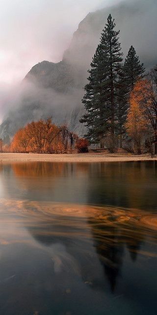 Photo be Joe Ganster 
Yosemite Valley
Trees in fall color dulled slightly by fog and mist. 
