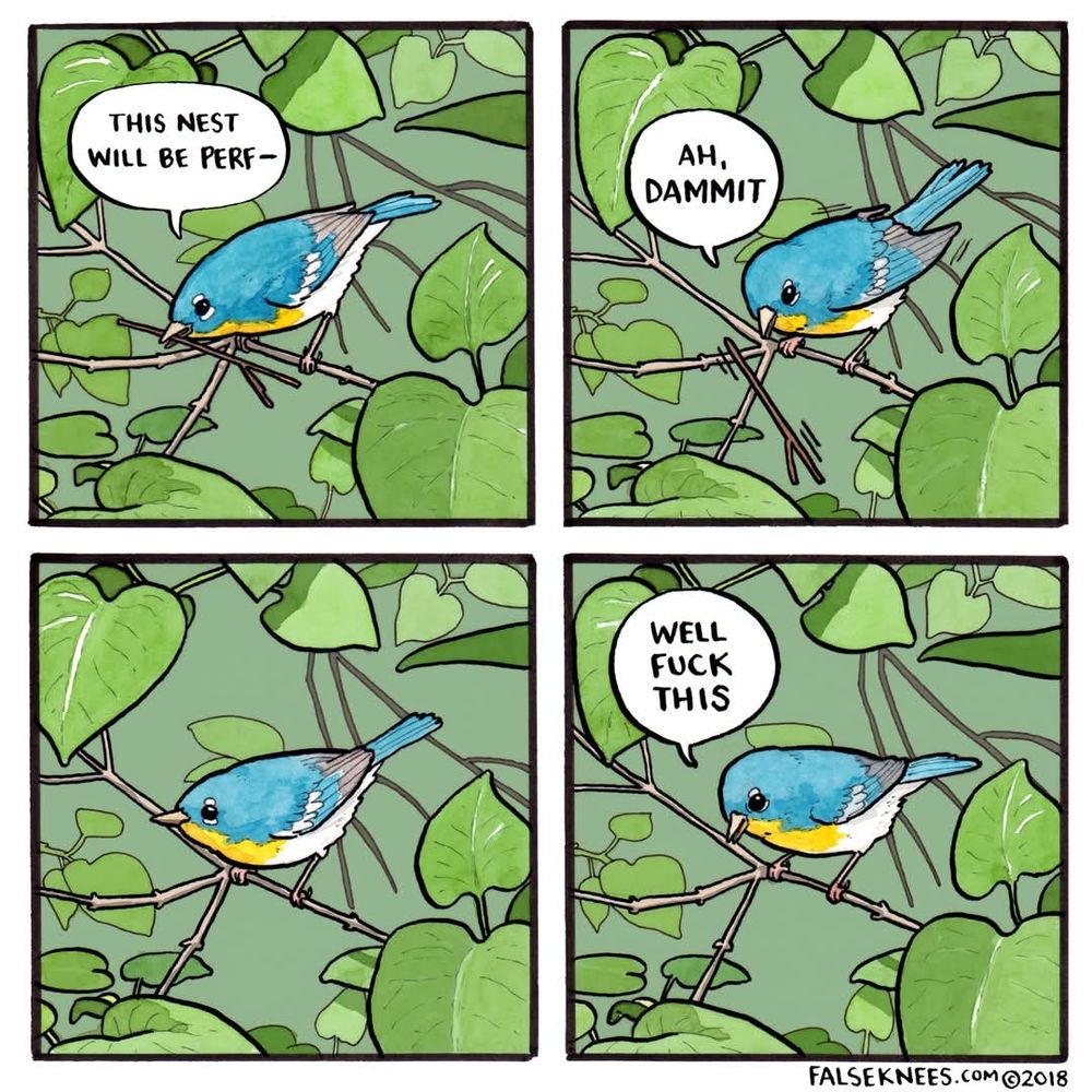 Comment image