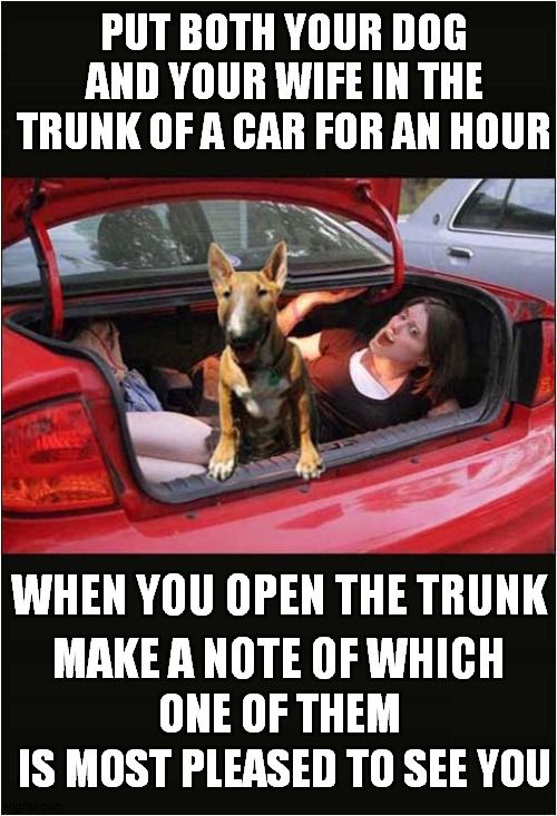 Put both your dog and your wife in the trunk of a car for an hour.

When you open the trunk, make note of which one of them is most pleased to see you.