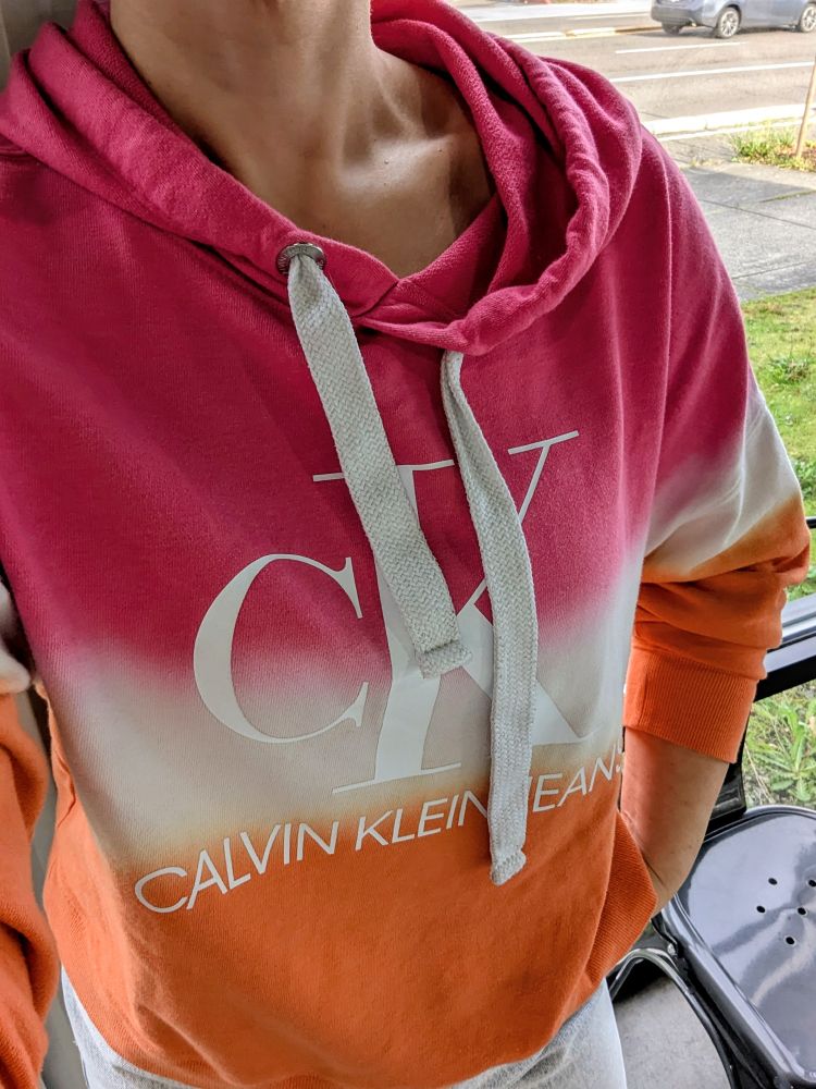 my favorite hoodie to wear around town thrifted from a goodwill - a ckj crop hoodie in the lesbian flag colors. intentional? who knows. but we do