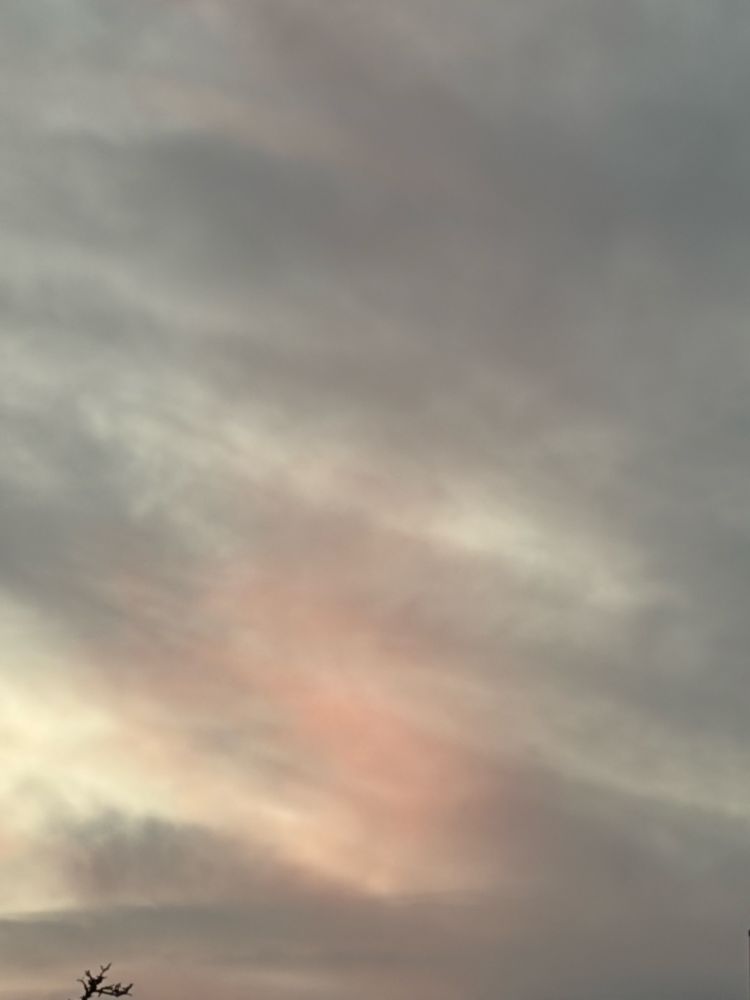 closeup of pink clouds 