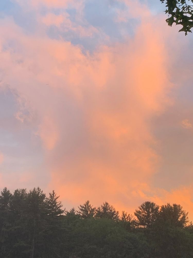 Pink cloud column over the tree line