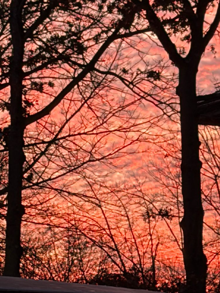 closer blurry hot pink clouds looking westish