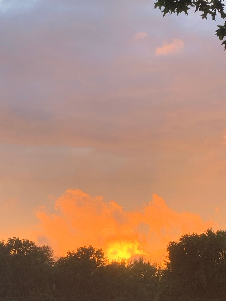 The sun on absolute fire as it sets behind a cloud just over the tree line