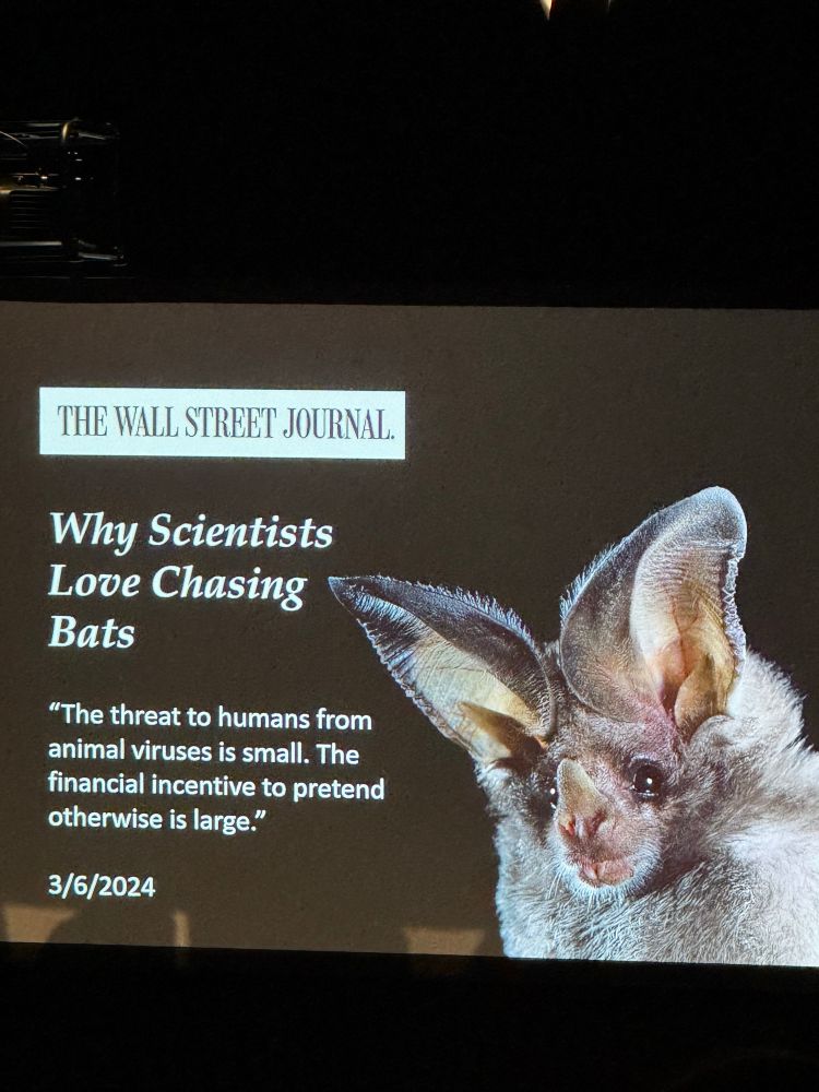 A slide from the talk with the Wall Street Journals article "Why Scientists Love Chasing Bats" with the quote "the threat to human from animal viruses is small. The financial incentive to pretend otherwise is large."