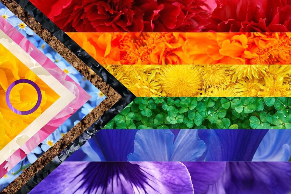 Pride flag made up of flowers, from the Toronto Botanical Garden website. 
