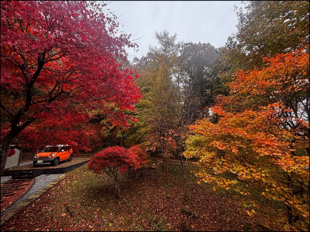 Everything’s color. 

Front yard. 