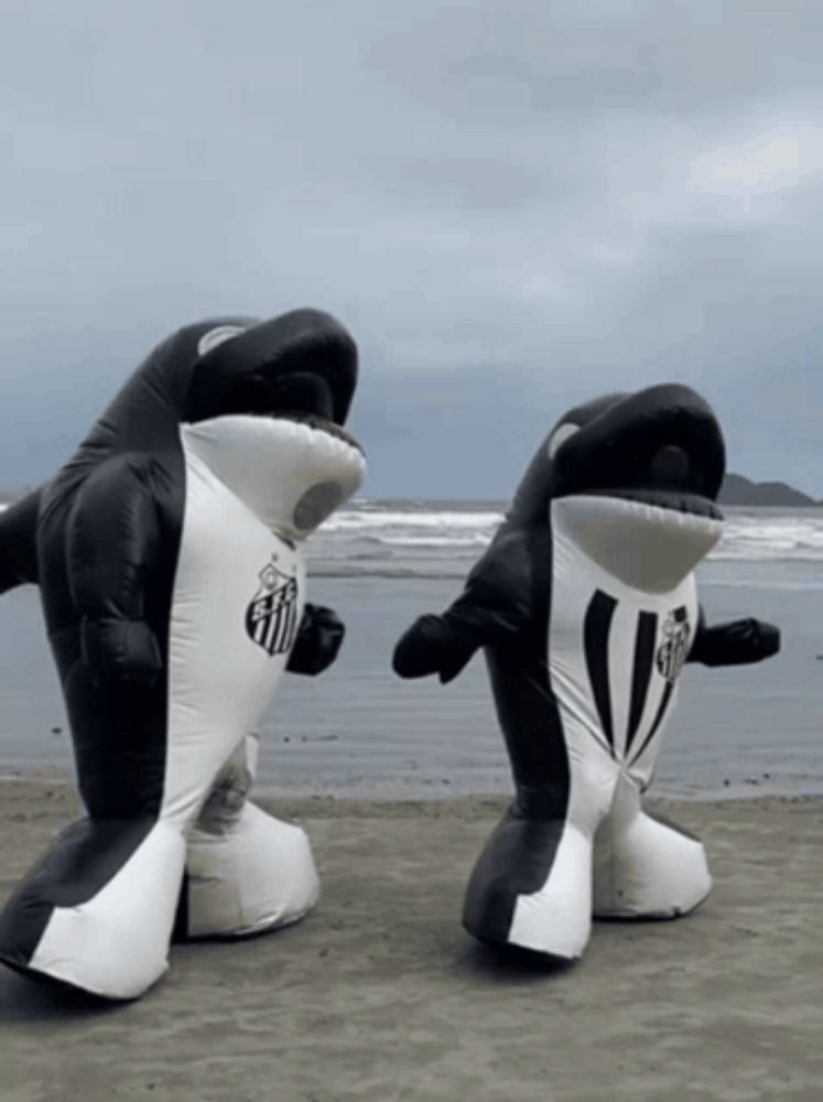 two black and white inflatable whales on a beach with santos written on their chests