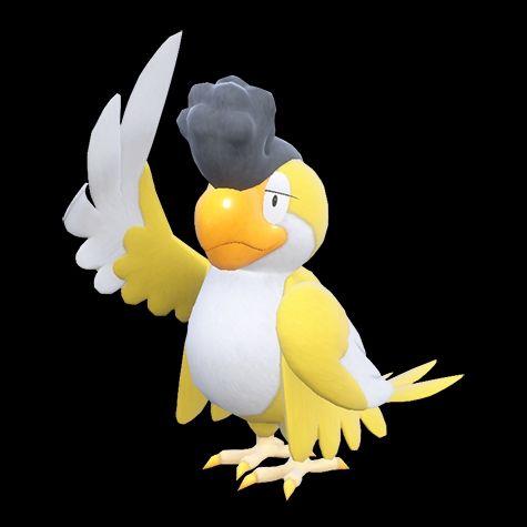 Squawkabilly