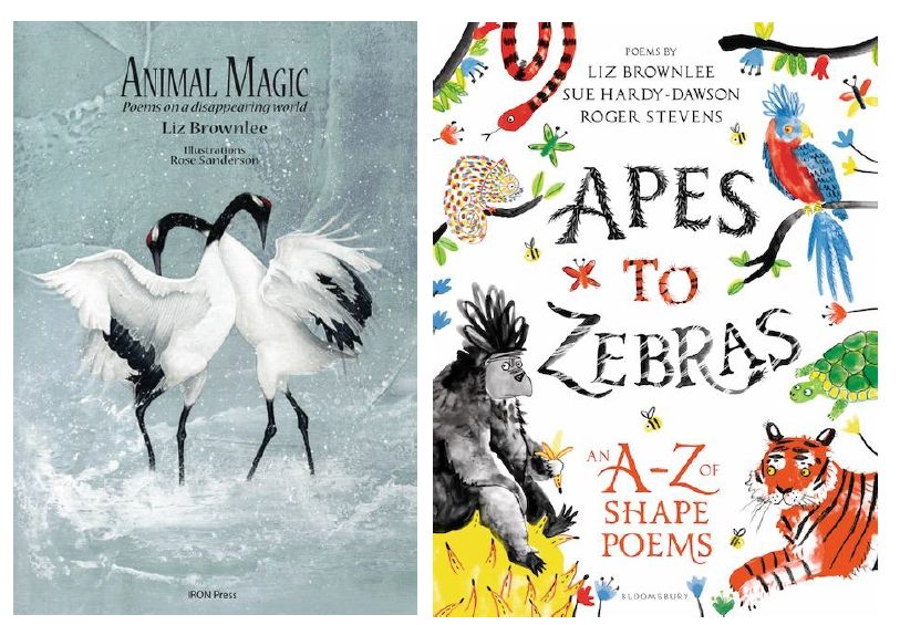 Two front covers of books by Liz Brownlee. On the left, a book called 'Animal Magic: Poems on a disappearing world', with a beautiful illustration: grey background and two slender white birds with black legs and black necks and heads. White paint is splattered and smudged across the grey, giving the impression of snow or wind or cold.
On the right is a book called 'Apes to Zebras, An A to Z of shape poems' with poems from Brownlee, but also Sue Hardy-Dawson and Roger Stevens. This cover has a white background with lots of colourful animals around the edges: snake, tortoise, tiger, gorilla, chamaeleon, tropical bird.