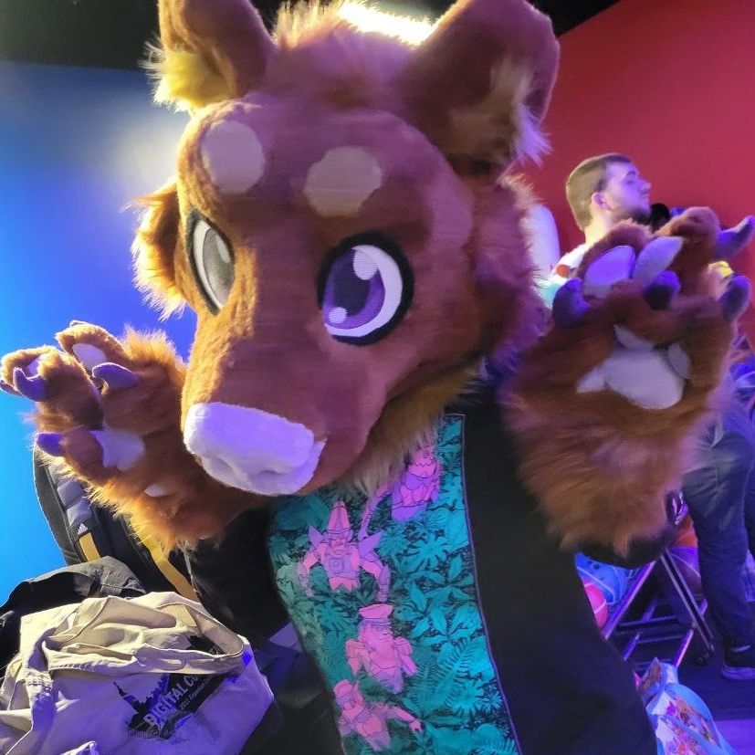 A photo of a brown Bear fursuiter with purple accents posing with their paws in the air! Their name is Evey, and they are wearing a black long sleeve shirt with a green and pink design. 