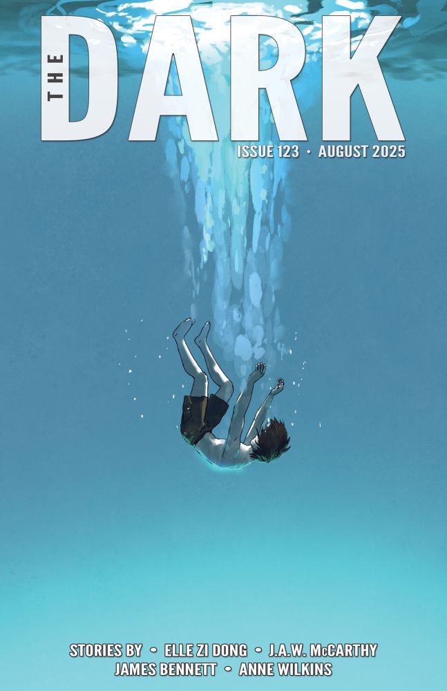 Cover of The Dark. A swimmer plunges limbs up through water in shades of blue, what looks to be an empty swimming pool. 