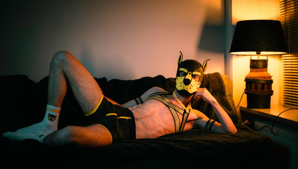 Puppy on couch with warm lighting
