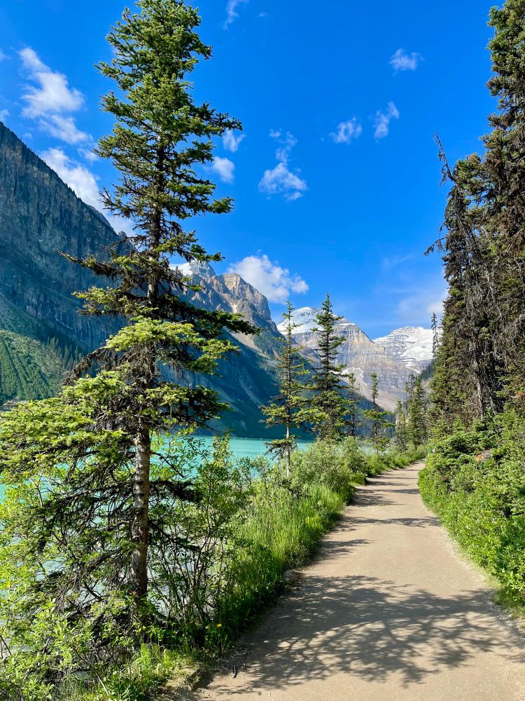 A path along the shore of a turquoise colored glacier lake. Evergreen trees line both sides of the path and snow covered mountain peaks can be seen in the distance. The sky is bright blue with a few white clouds.