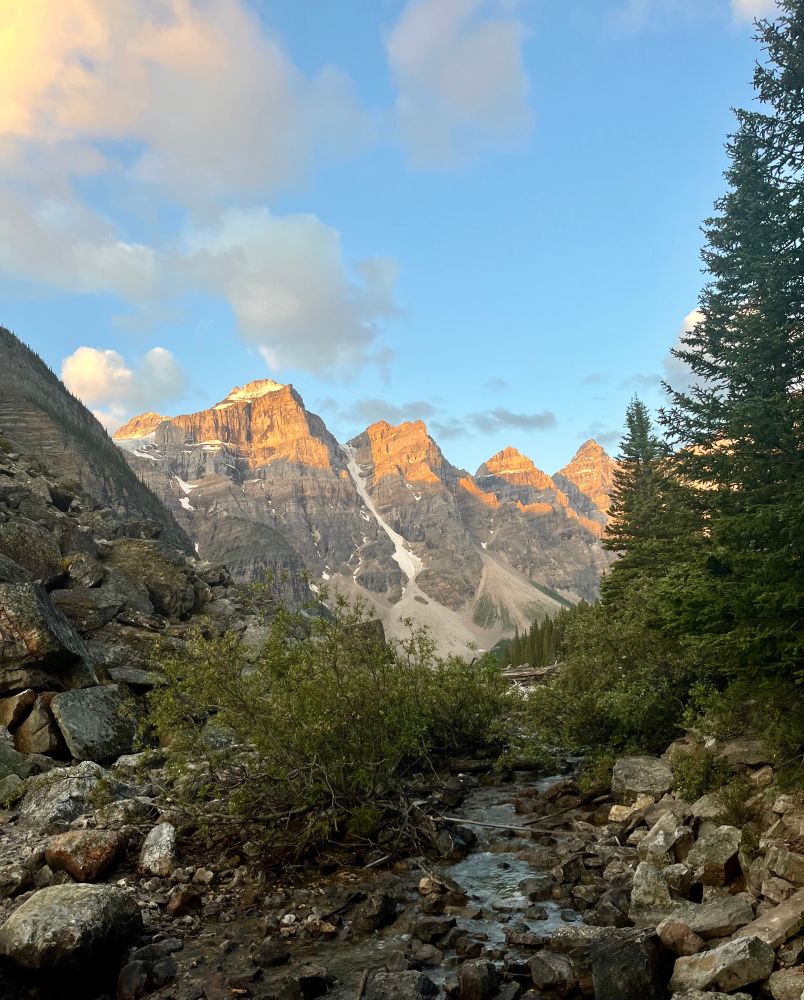 Four jagged mountain peaks are cast in golden light as the sun rises in the Canadian Rockies. The sky is pale blue with some white clouds.