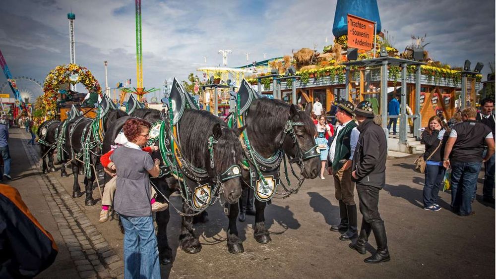 Cannstatter Volksfest: Die Brauereipferde dürfen nun doch auf den Wasen kommen