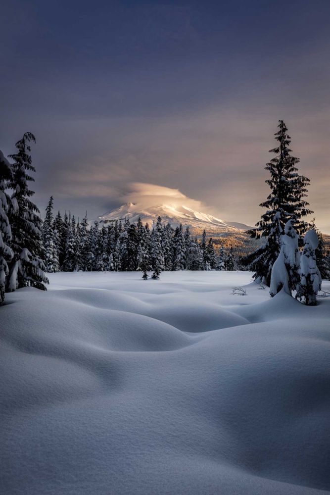 Snowy sunrise over mt hood Oregon 