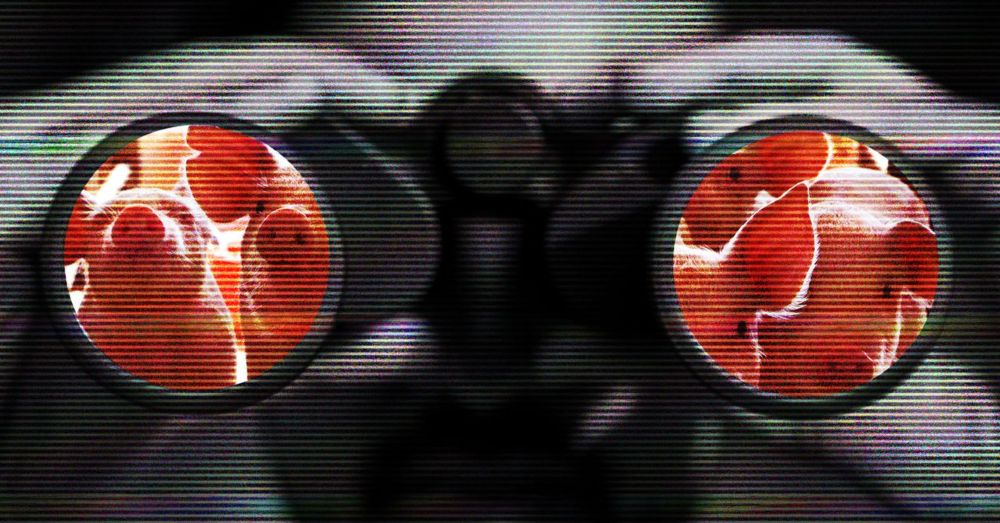 Scam compounds in Cambodia, Myanmar, and Laos have conned people out of billions. New research shows they may be linked to child sextortion crimes too.