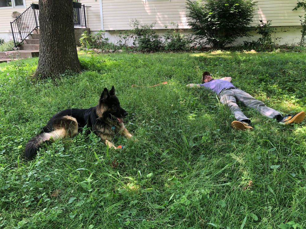 A German shepherd and a man in a purple shirt, hat, and gray pants lay in a yard with tall grass in front of a house. 